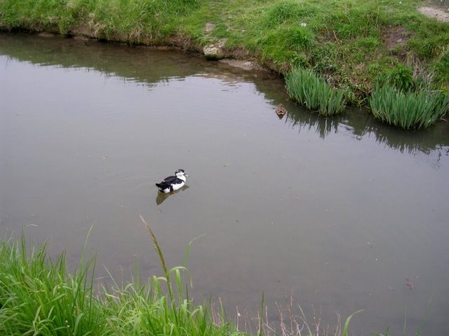 2007 03 Rando Gallardon 14